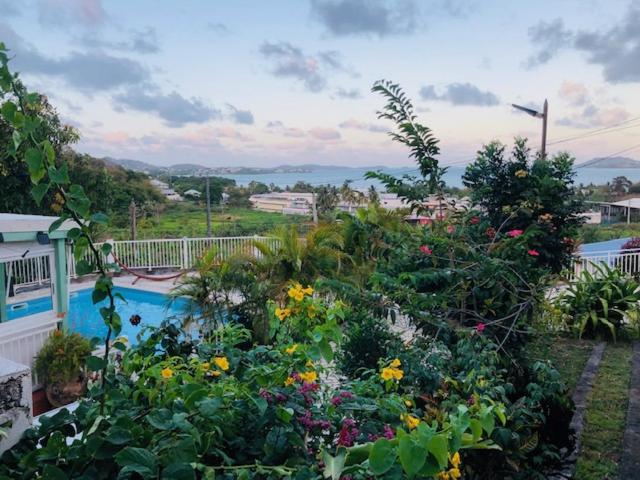 Notre Vie La Bed & Breakfast Le Robert Dış mekan fotoğraf